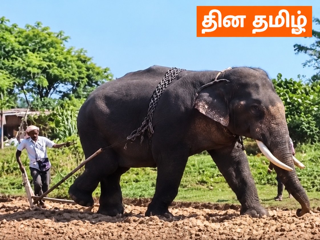 வாசகர் வழங்கிய விளக்கப்படம் · சம்பவப் புகைப்படம் அல்ல