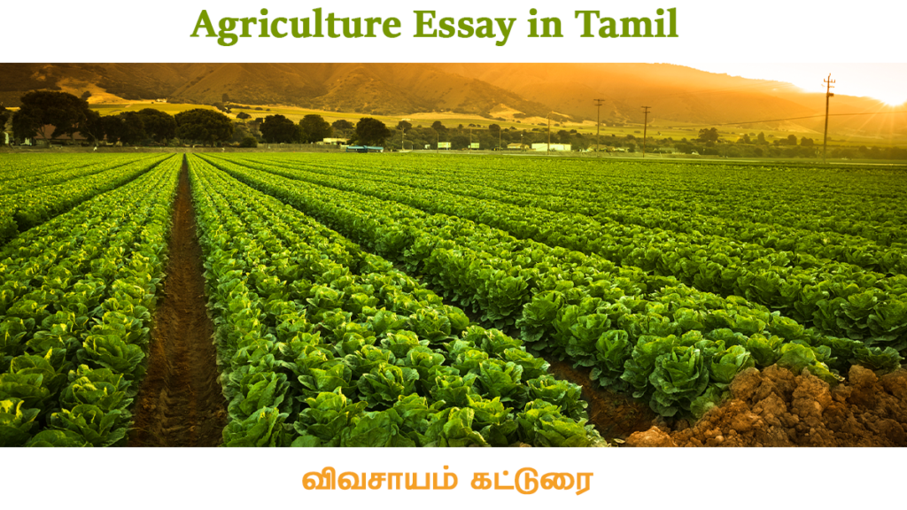 essay about agriculture in tamil
