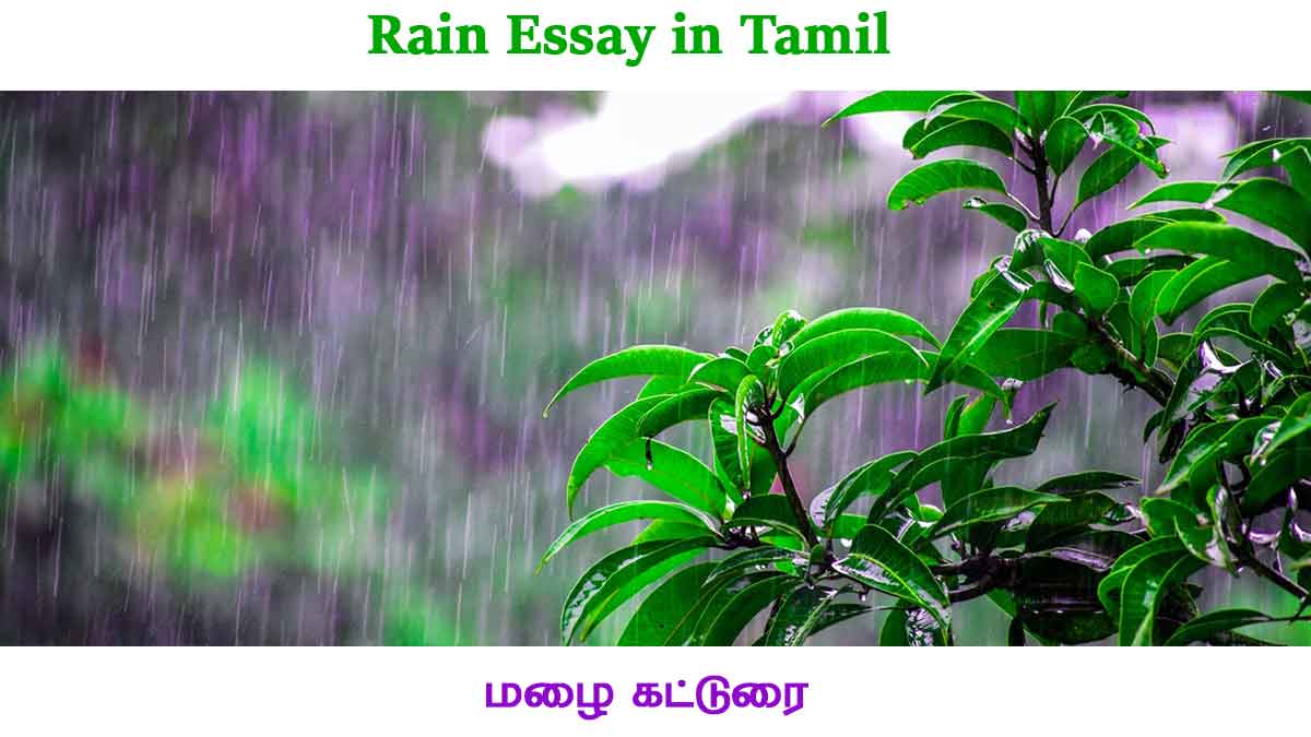 rain-essay-in-tamil