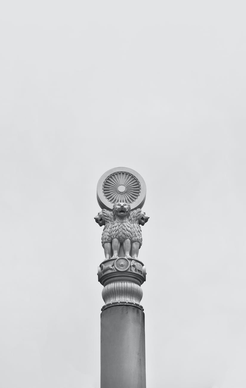 the ashoka pillar