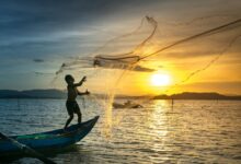 fisherman throwing fish net on lake